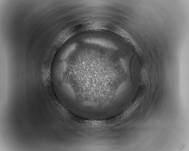 X0000094330785200711301227