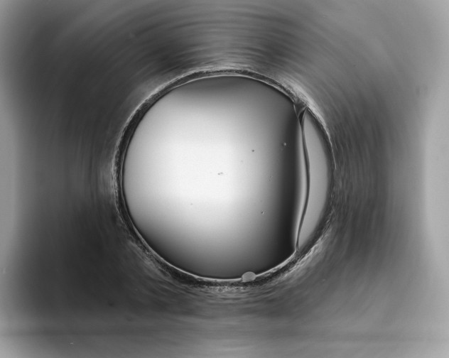 X0000094330789200711301227