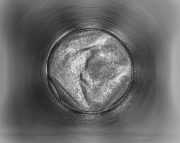 X0000094330790200711301227