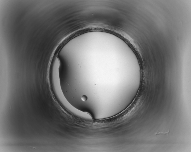 X0000094330791200711301227