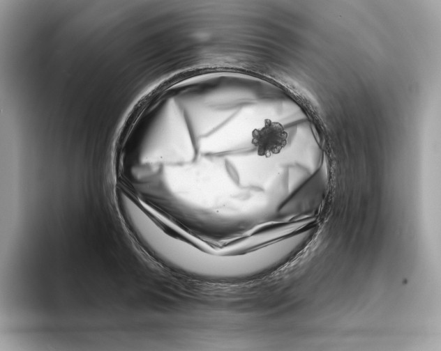 X0000094330792200711301227
