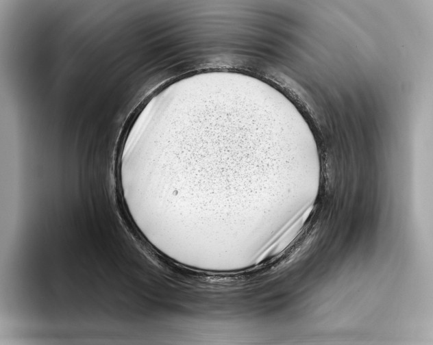 X0000094330794200711301227