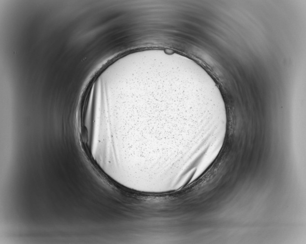 X0000094330796200711301227