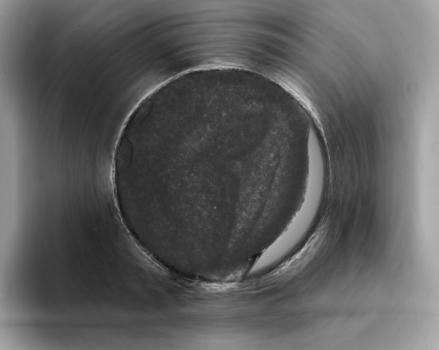 X0000094330797200711301227