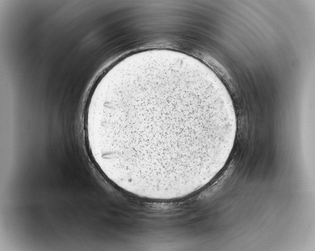 X0000094330800200711301227