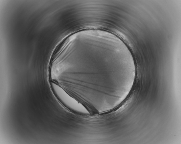 X0000094330802200711301227