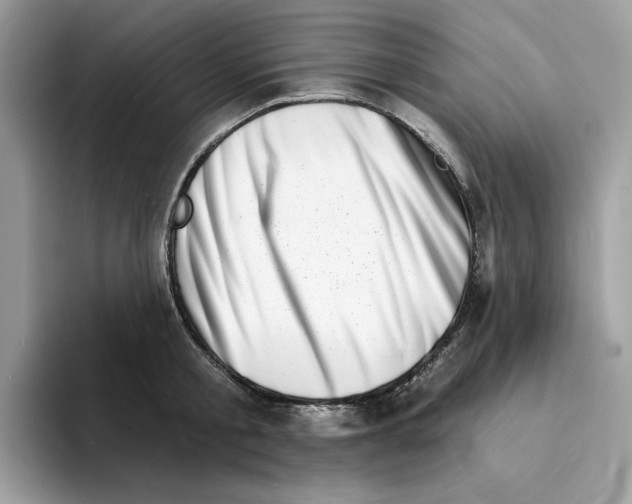 X0000094330805200711301227