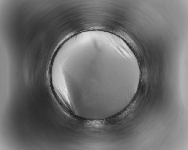 X0000094330806200711301227