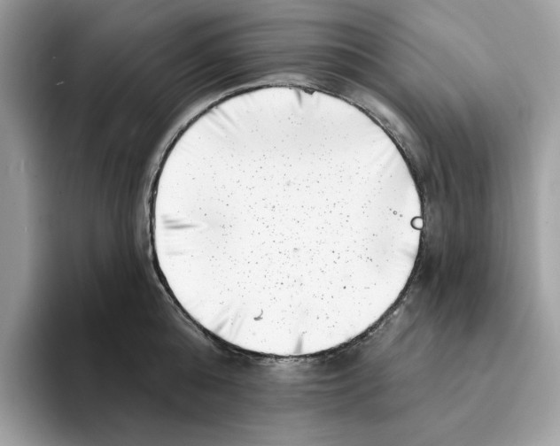 X0000094330808200711301227