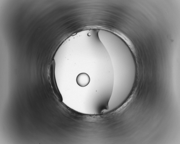 X0000094330809200711301227