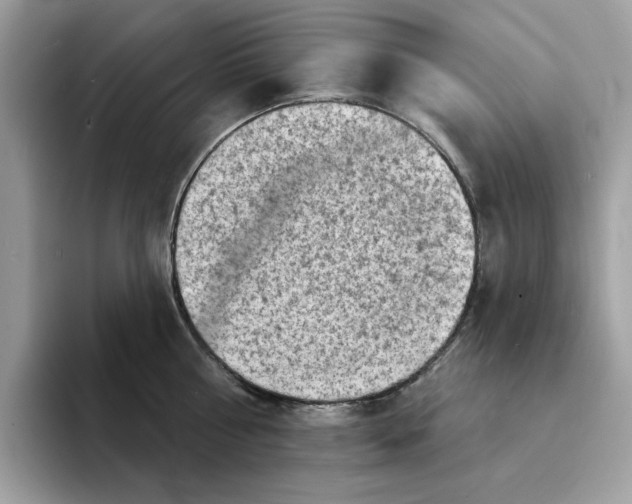 X0000094330810200711301227