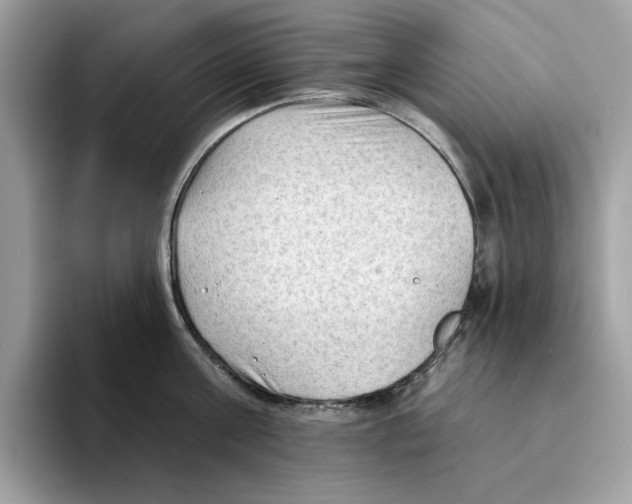 X0000094330811200711301227