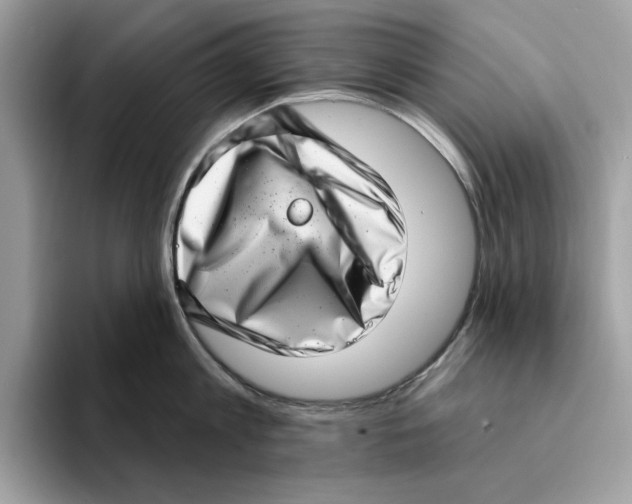 X0000094330813200711301227