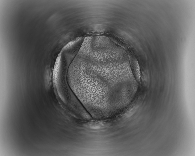 X0000094330818200711301226