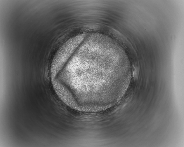 X0000094330819200711301226