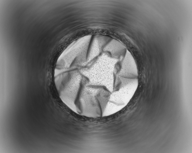 X0000094330821200711301226