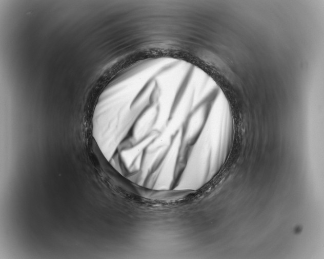 X0000094330822200711301226