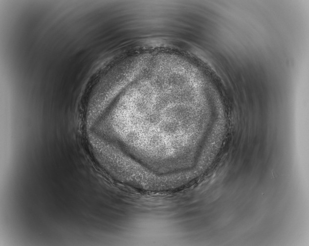 X0000094330823200711301226