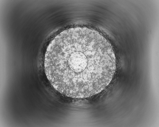 X0000094330824200711301226