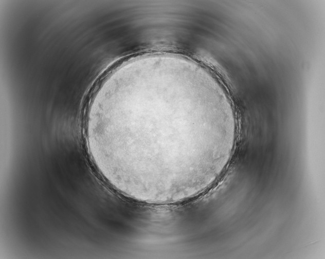 X0000094330828200711301227