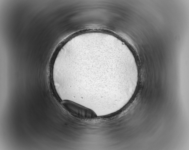 X0000094330831200711301227