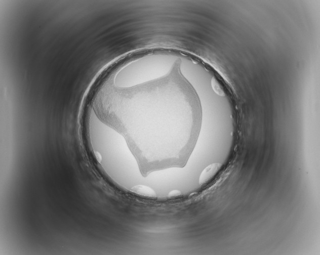 X0000094330832200711301227