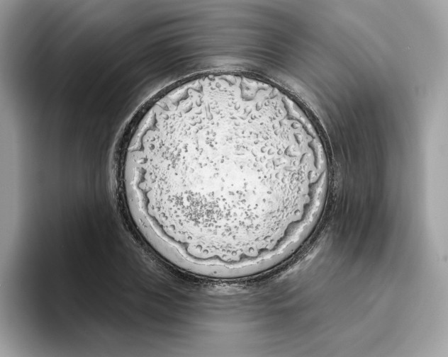 X0000094330835200711301227