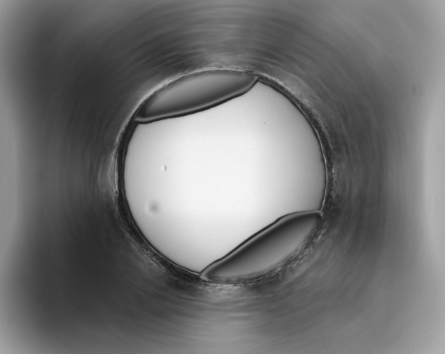 X0000094330838200711301227