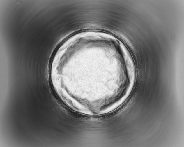 X0000094330839200711301227