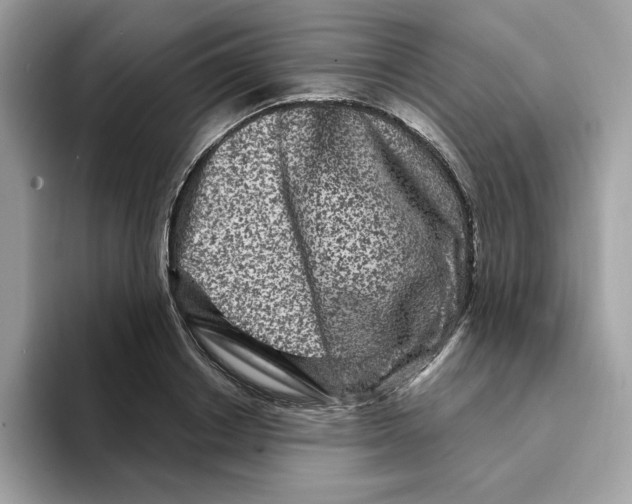 X0000094330842200711301227