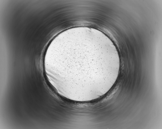 X0000094330843200711301227