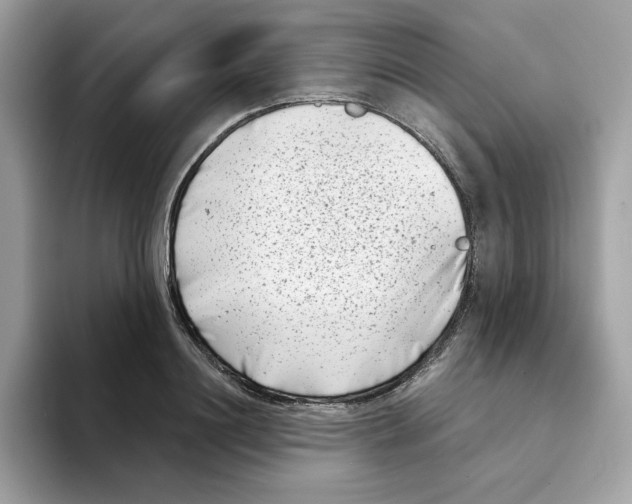 X0000094330844200711301227