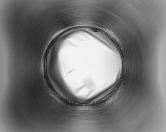 X0000094330846200711301227