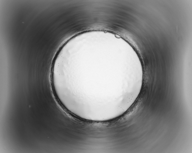 X0000094330847200711301227