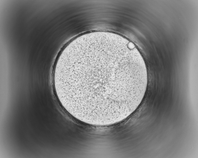 X0000094330848200711301227