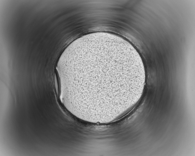 X0000094330849200711301227