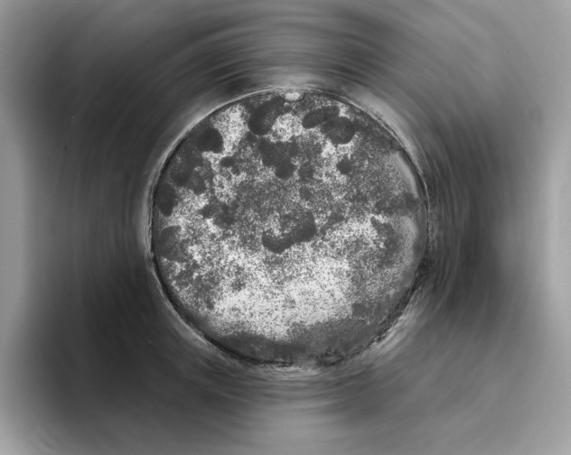 X0000094330851200711301227