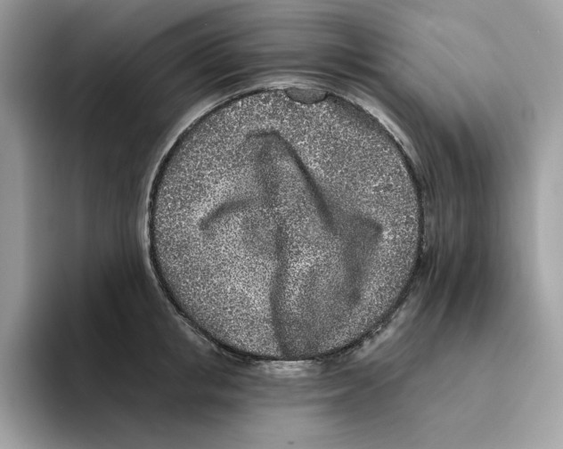 X0000094330853200711301227