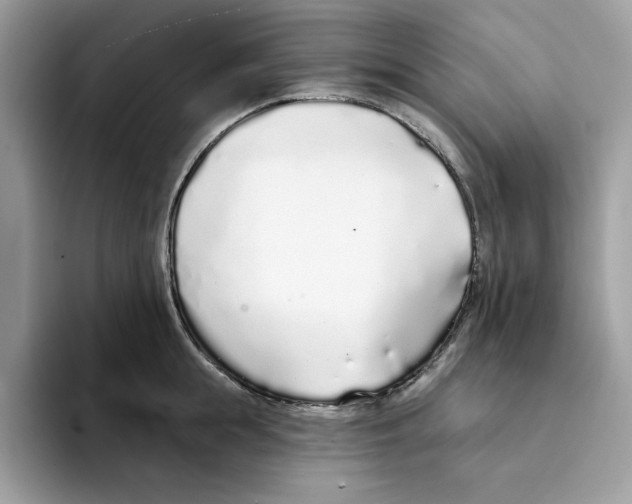 X0000094330855200711301227