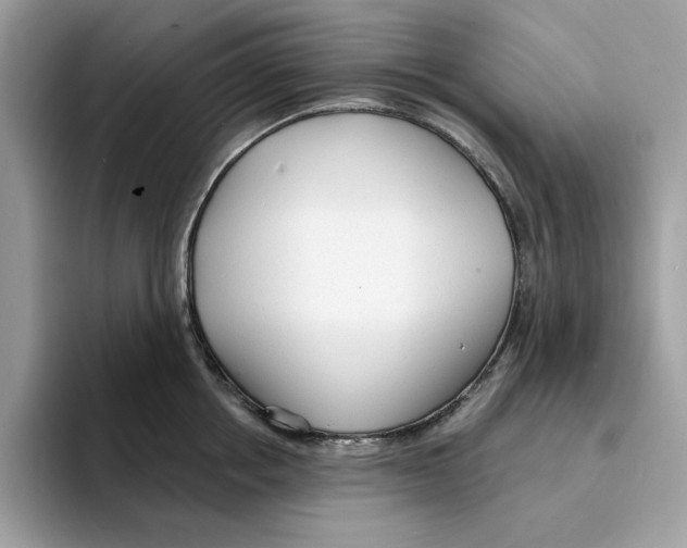 X0000094330858200711301227