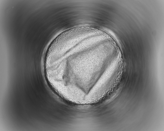 X0000094330859200711301227