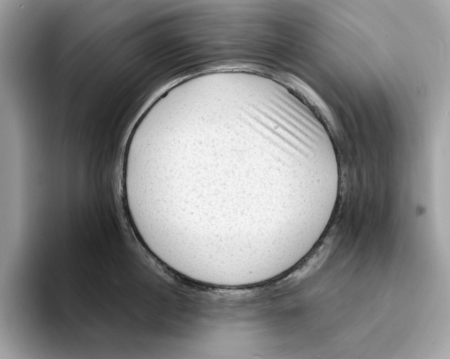 X0000094330860200711301227