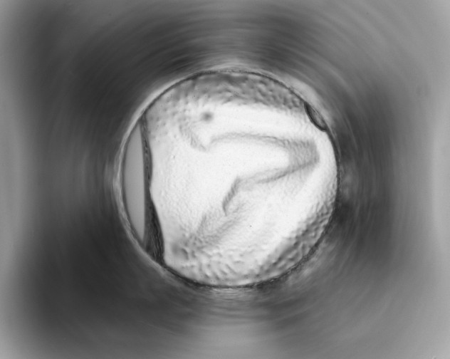 X0000094330863200711301227