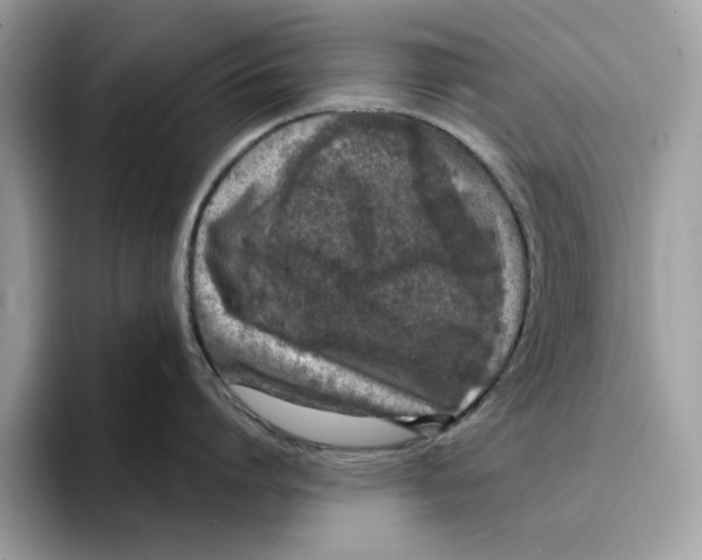 X0000094330864200711301227