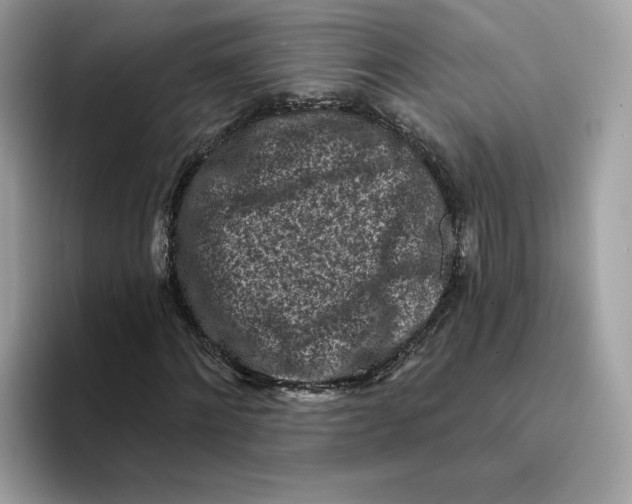 X0000094330868200711301226