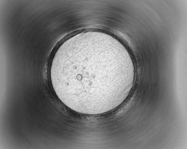 X0000094330875200711301226