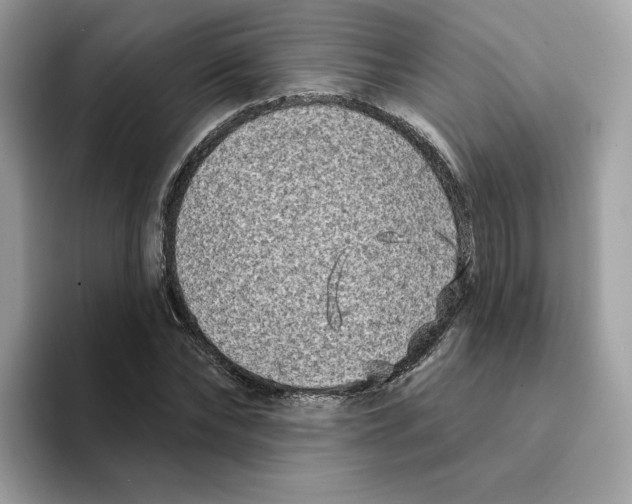 X0000094330878200711301226