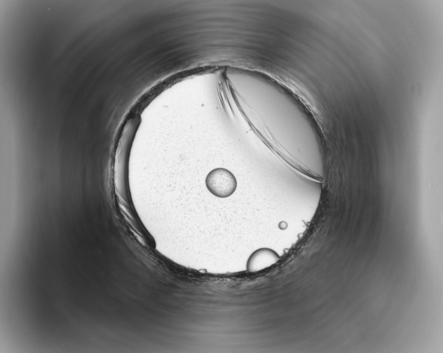 X0000094330880200711301226