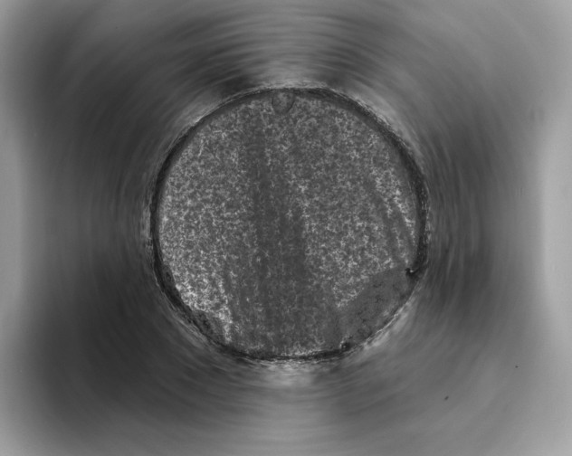 X0000094330881200711301226