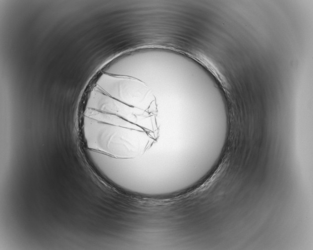 X0000094330884200711301226